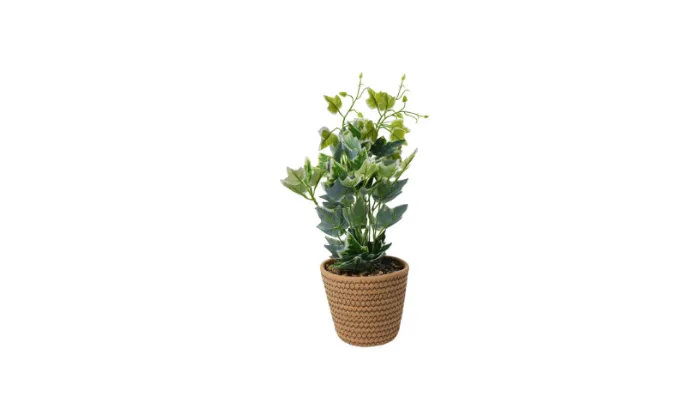Artificial Plant in Cotton Rope Pot