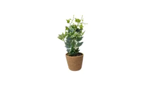 Artificial Plant in Cotton Rope Pot