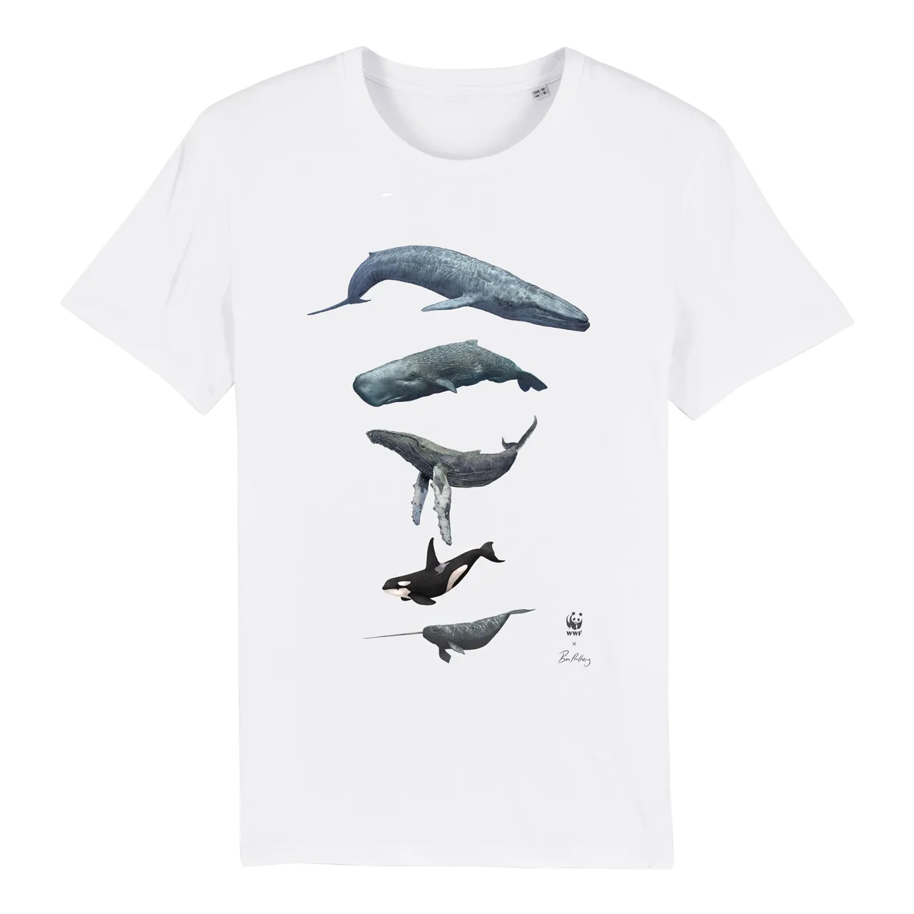 Ben Rothery T-Shirts
