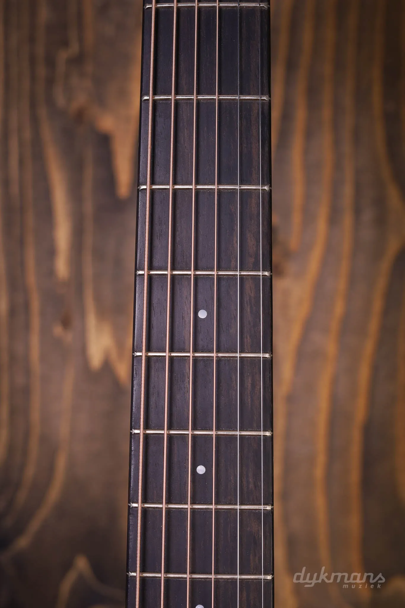 Eastman E1 OM Special